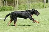 BEAUCERON 834